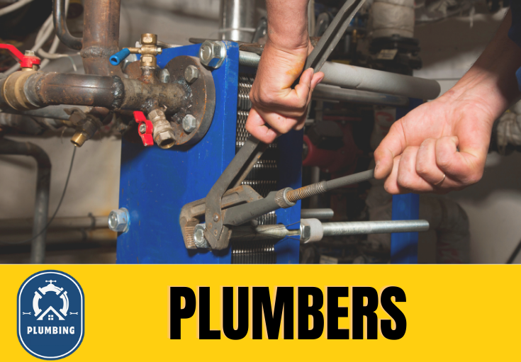  plumber Seal